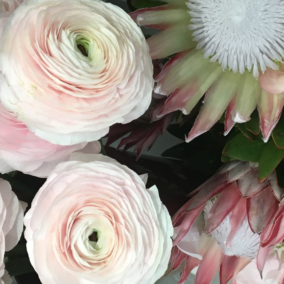 Meet your Posher, Georgina - Picture 1 of 1